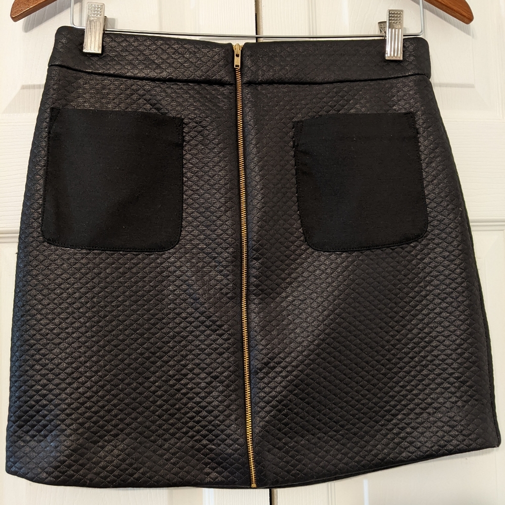 The Limited Back Skirt Size 2